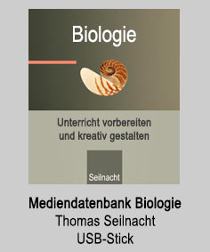 Seilnacht Biologie